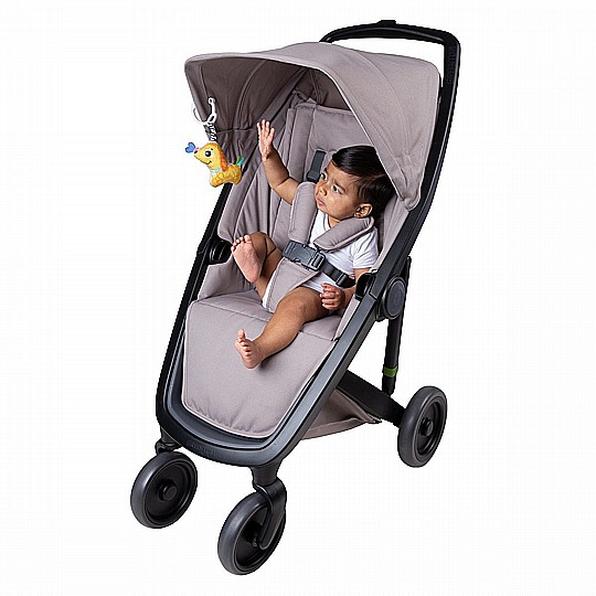 ���� ���� ����� playgro