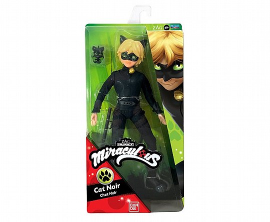 ���� ���� Cat Noir 