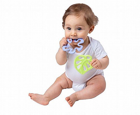 ���� ���� playgro