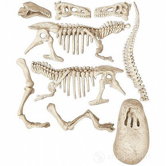 ���� �����-T-REX