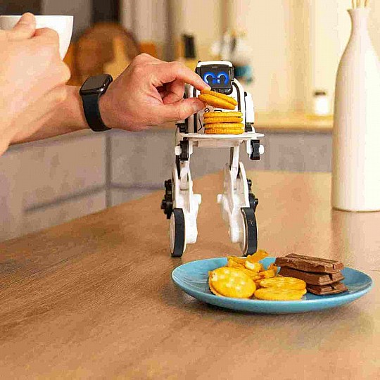  ����� ��� ROBO UP ���� �����