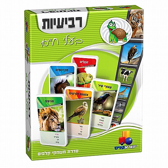 ������� ���� ����