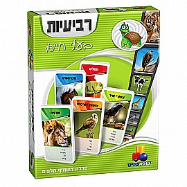 ������� ���� ����