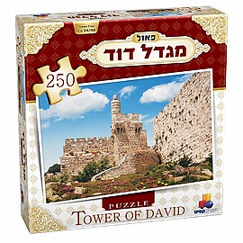 פזל 250 חל' מגדל דוד פזל 250 חל' מגדל דוד