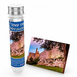 מיני פזל 130 חלקים - מגדל דוד מיני פזל 130 חלקים - מגדל דוד