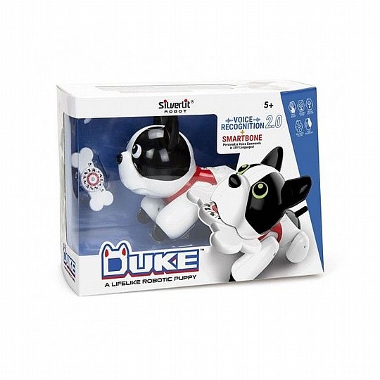 ��� ������ ������ ���� DUKE