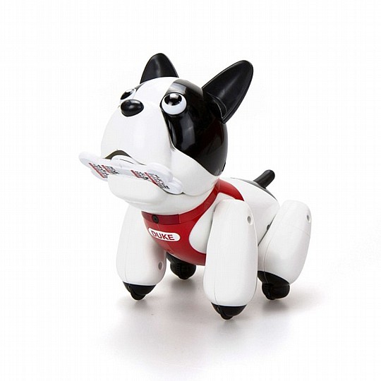 ��� ������ ������ ���� DUKE