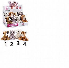 ���� ����� ���� 14 �"� (��� ������)