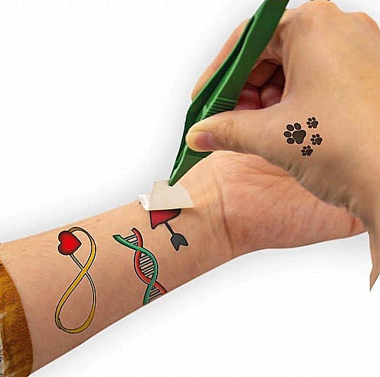 ���� ��� - ���� ����� - ������� Science4you
