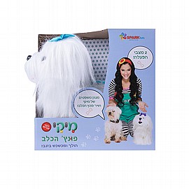 (����) ���� ���� ���� �����