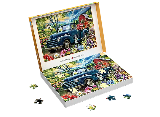 ���� 104 ����� ���� ���� ����� ���������