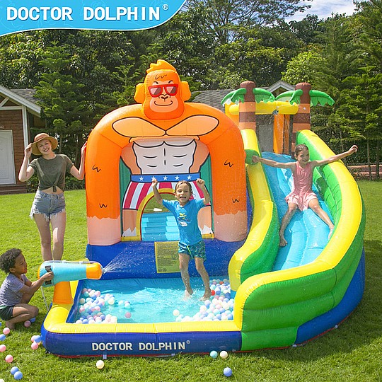 ����� ������ ������ ���� ��� DOCTOR DOLPHIN ��� DD-73008